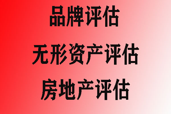 房地产 计税价格评估