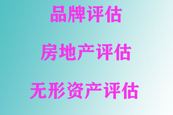 房地产 计税价格评估